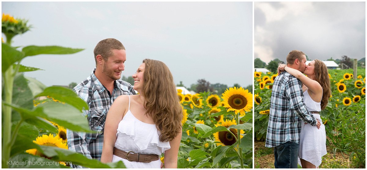 Lehigh Valley Sunflower Engagement Session | K. Moss Photography